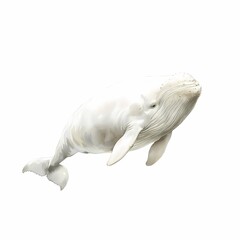 Graceful Watercolor Illustration of Marine Life