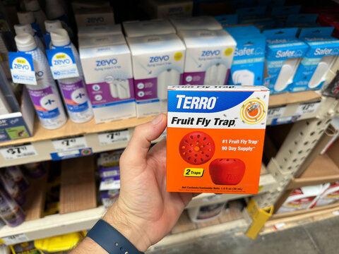 Terro brand of Fruit Fly Trap. 