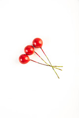 Artificial berries on a wire for needlework and decoration of gifts, wreaths on white background