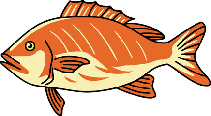 Vector Illustration of Snappers Saltwater Fish