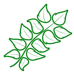 contour collection different green leaves of tree, plants, leaf and swirls branches. Stock vector icon, isolated white background. Element for ecographic, natural design, vegan logo, bio labels