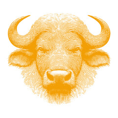 buffalo vector illustration