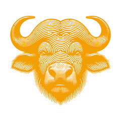 buffalo vector illustration