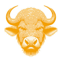 buffalo vector illustration