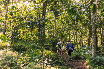 Fototapeta premium Adventure Trio Hiking Towards the Summit. Majestic Mountain Forest Landscape with Lush Greenery.