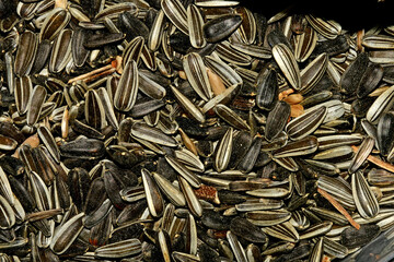 Bird food, sunflower seeds in a closeup