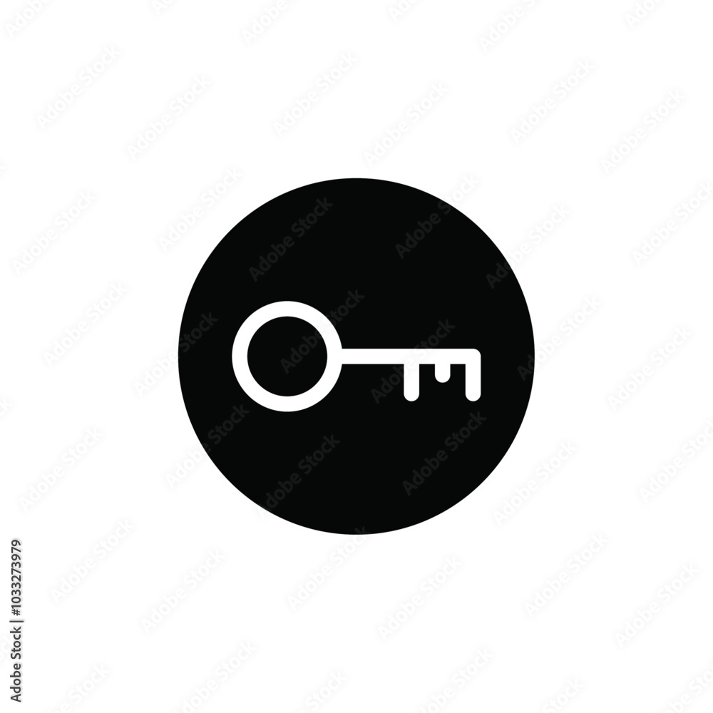 Poster Key icon web design in vector