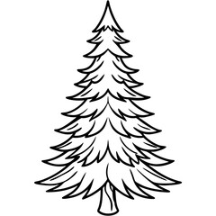 spruce line art vector illustration on a white background
