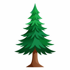 Fototapeta premium spruce vector illustration on a white background 