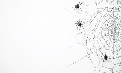 Obraz premium Intricate Spider Web on White Background 