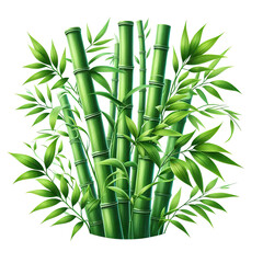 Fototapeta premium green bamboo stems with leaves illustration, isolated on white background PNG