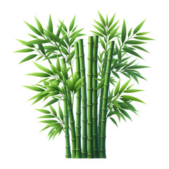 green bamboo stems with leaves illustration, isolated on white background PNG