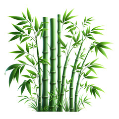 Obraz premium green bamboo stems with leaves illustration, isolated on white background PNG