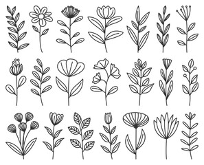 Set of simple minimal floral vector line art, floral vector illustration in solid black outline style perfect for wedding elements and the like