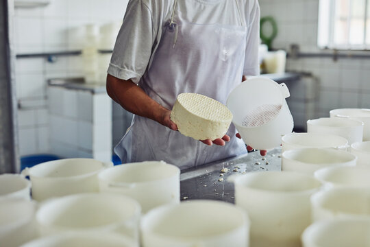 Cheese, factory and hands of person, production and employee with apron, recipe and preparation with dairy. Process, gourmet and professional with equipment, fromager and work in kitchen or container