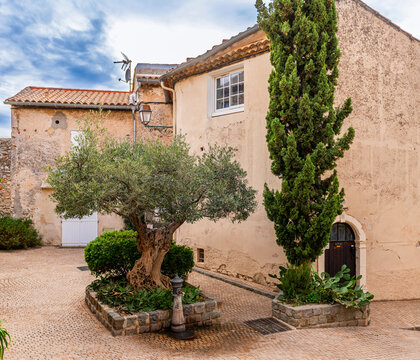 Street and facades in the village of Castellet, in the Var near Toulon, Var, Provence, France.
