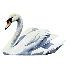 swan isolated vector