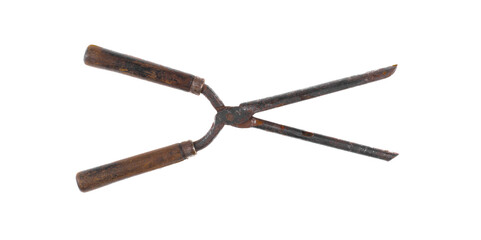 vintage iron hair curler isolated on white background