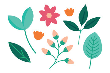  Botanic set of leaves and flower vector illustration.