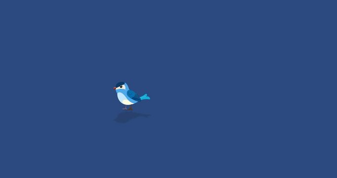 Bird blue character flying landing and singing on navy background. Blinking eyes happy cartoon animation animal giving a concerto during flight. Fairy tales, lullaby, etc...
