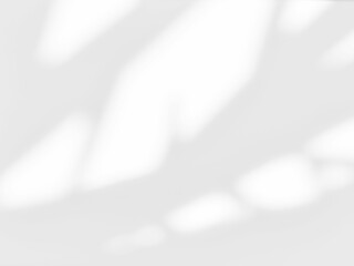 Shadow of leaves tree plant overlay on white wall. Sunlight effect shadow on the wall. Minimal blurred backdrop backgrounds. Summer tropical surface background.	