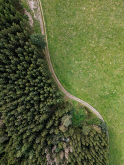 An aerial capture shows a beautiful forest merging with a vibrant green field, highlighting natures beauty