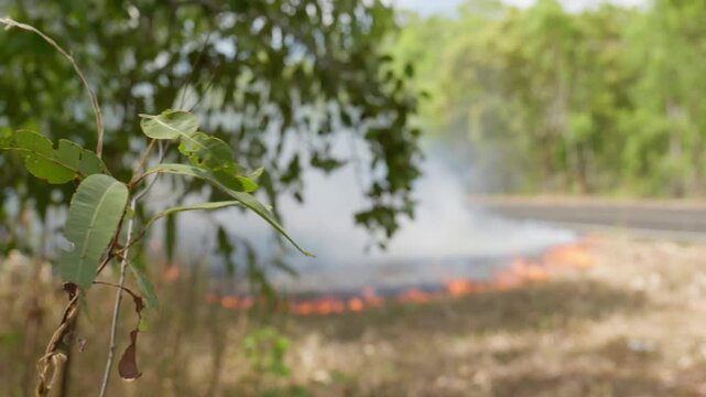 Bushfire in the Australian outback. Smoke and flames beside a road. Clip 35