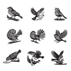 Collection of Song sparrow silhouette Design - Song sparrow Bird vector illustration