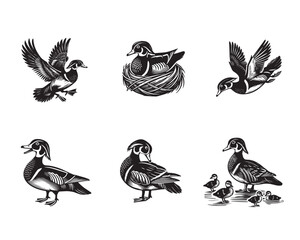 Obraz premium Collection of Wood Duck Outline Design - Cute Wood Duck Vector illustration in black and white 