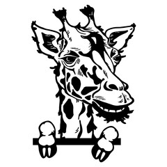 Peeking Giraffe - Comic Animal - Funny Animal - Wildlife Stencil - vector clipart stock