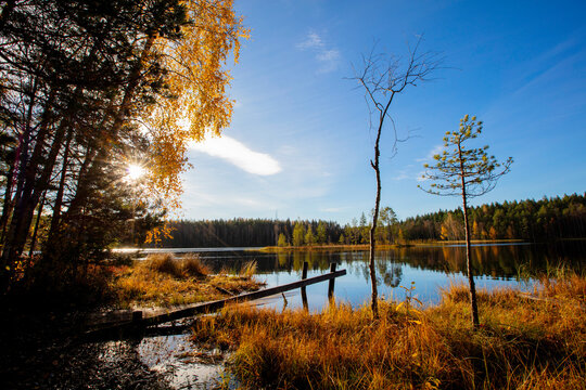 Beautiful Finnish autumn landscape by the water.