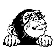 Peeking monkey - Comic Animal - Funny Animal - Wildlife Stencil - vector clipart stock
