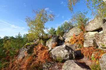 Denecourt blue trail  6 in the Apremont Gorges. Fontainebleau forest 
