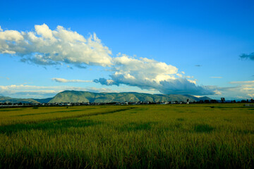 Expansive Fields Beneath Majestic Mountains