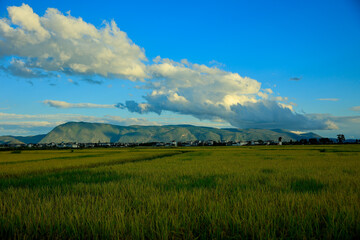 Fototapeta premium Expansive Fields Beneath Majestic Mountains