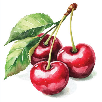 watercolor cherries with green leaves clip art preview