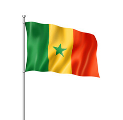 Senegalese flag isolated on white