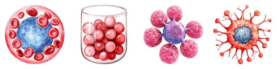 The image depicts various cell types, showcasing their structures and arrangements, including red blood cells and a possible virus or immune response formation.