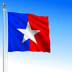 USA elections waving flag star symbol, United States of America, vector illustration