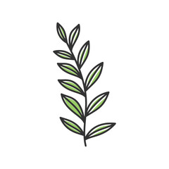 Minimal floral icon vector line art, floral icon vector illustration in handdrawn style