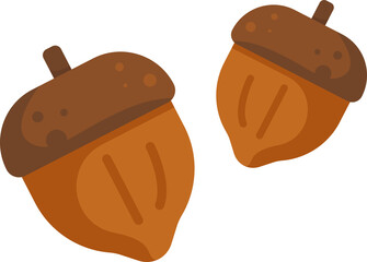 Autumn Acorns acorn brown Fall nature Thanksgiving