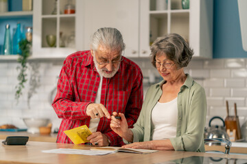 in bright kitchen an elderly neat cute couple at the table count their expenses monthly payment summing up the results of the year utilities counting monthly survival