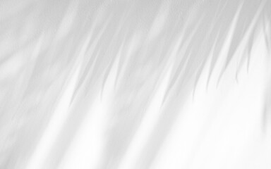 Obraz premium Soft shadow of tropical natural leaves. part palm leaf isolated