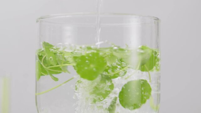 Gotu kola is rotated in a large glass water jar, pure water is poured into as the vortex, against on white minimal background. Front view, blank space for text