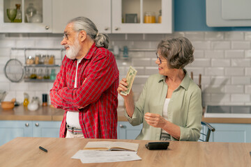in bright kitchen an elderly cute couple at the table count their expenses monthly payment utility bills monthly survival count money misunderstanding