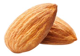 almond isolated