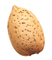 almond nut in shell isolated
