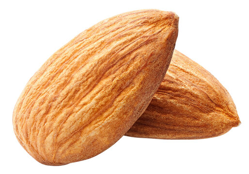 almond isolated