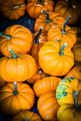 Orangita, Cucurbita Pepo, Speisekürbis, Kürbis, Kürbisernte, Kürbisfest, Herbst, Herbstmarkt, Baselland, Nordwestschweiz, Schweiz