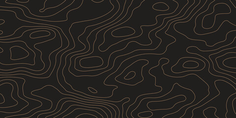 Topographic gradient line map. Abstract circle lines background. Abstract blank detailed topographic contour map. Background of the topographic map. Line topography map contour background.